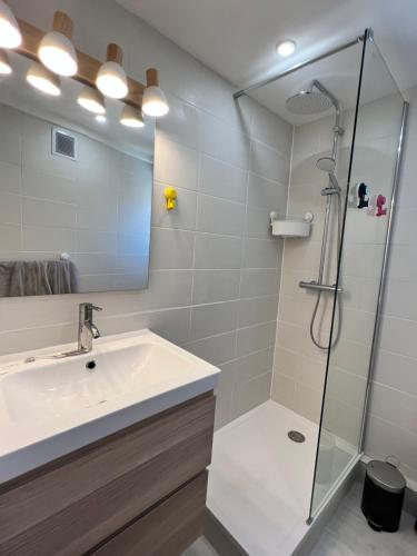 une salle de bain avec un lavabo et une douche dans l'établissement Studio Neuf CentreVille Climatisé #14, à Toulon