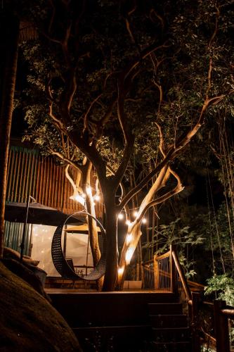 a tree with lights on it at night at Casa Natu Ilhabela Portinho in Ilhabela