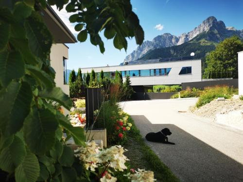 a black cat sitting on the ground in front of a building at Jack's Apartment in Werfenweng