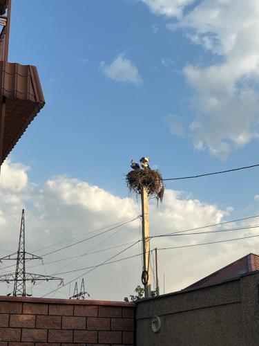 Imagen de la galería de Hotel KA-EL, en Musalerr