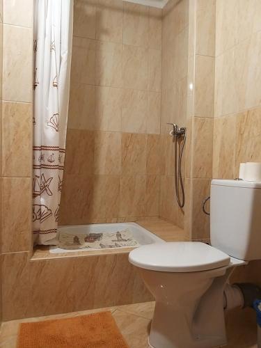 a bathroom with a shower with a toilet and a tub at Magdaléna Vendégház in Esztergom