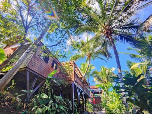 a tree house in the jungle with palm trees at OHANA Jungle Lodges in Les Avirons