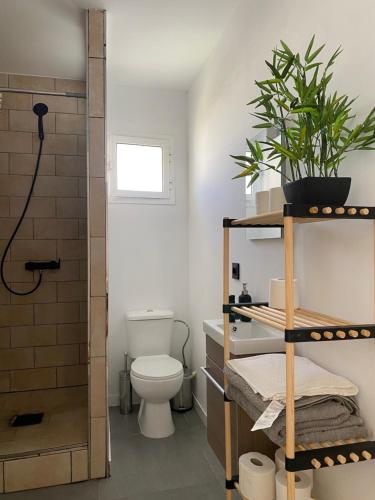 uma casa de banho com um WC e um chuveiro em dreamhouse_chiclna2 em Chiclana de la Frontera