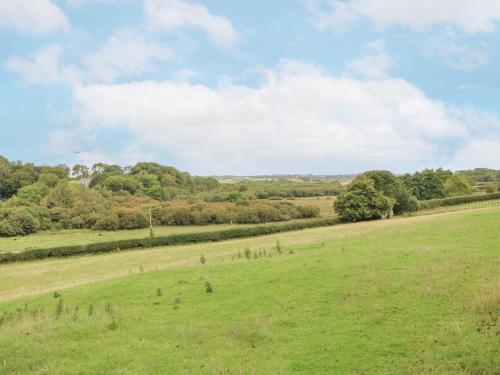 a field of grass with trees in the distance at Bryn Tirion in Holyhead