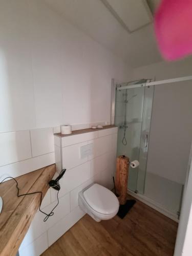 a bathroom with a toilet and a glass shower at Villa Theresa in Hofstetten