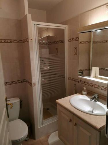 une salle de bain avec une douche, des toilettes et un lavabo dans l'établissement Beau 3 pièces à Nice - terrasses et piscine, à Nice