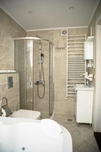 a bathroom with a shower and a toilet and a sink at Къща ЕТНО in Koprivshtitsa