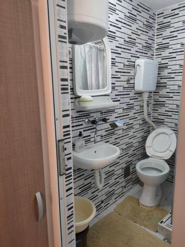 ソコバニャにあるKuca Bogdanovic Parkのトイレと洗面台のある小さなバスルーム