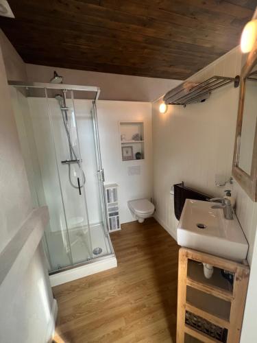 a bathroom with a shower and a sink at Dolce far niente in Bruges