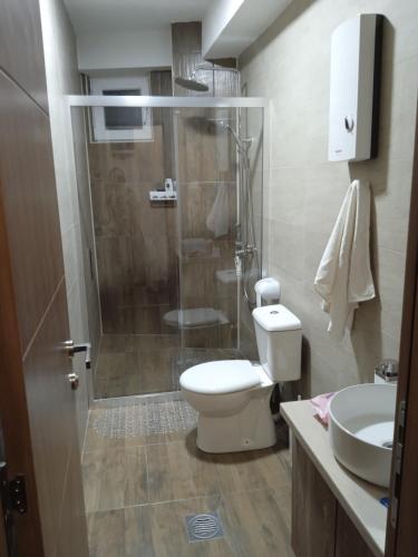 a bathroom with a shower and a toilet and a sink at Eva apartment in Štip