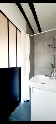 une salle de bain avec un lavabo et une baignoire dans l'établissement Studio Bord de Marne, à La Ferté-sous-Jouarre