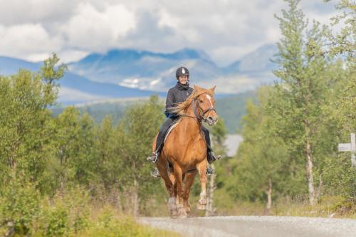 a man riding a horse down a dirt road at Venabu Fjellhotell in Venabygd
