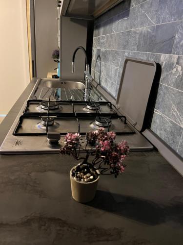 Una cocina con una estufa y una maceta con flores. en APPARTAMENTO ATTiCO CON TERRAZZO FIBI, en Ortona