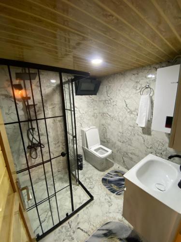 a bathroom with a sink and a toilet at Oksijen suit in Artvin