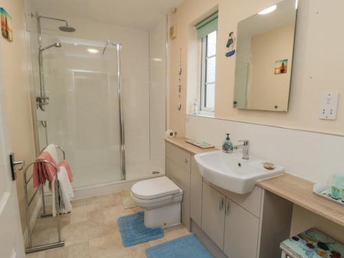 een badkamer met een toilet, een wastafel en een douche bij Dutch Blues in Malton