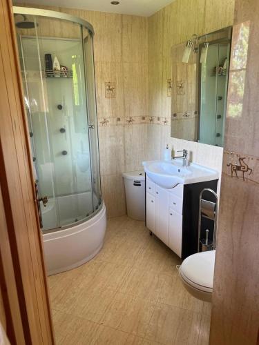 a bathroom with a sink and a shower and a toilet at Zielkowa Ostoja in Niesiołowice