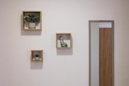 a wall with three pictures of plants on it at Studio Petra in Soko Banja