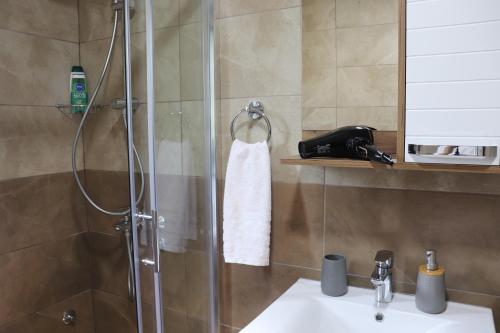 a bathroom with a shower with a sink and a shower at Saint Nicolas Bajina Bašta in Lug