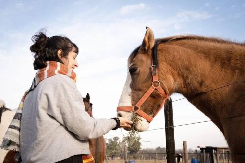 a woman is petting a brown horse at Casa de campo in Mercedes