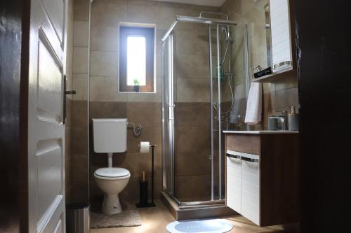 a bathroom with a shower and a toilet at Saint Nicolas Bajina Bašta in Lug