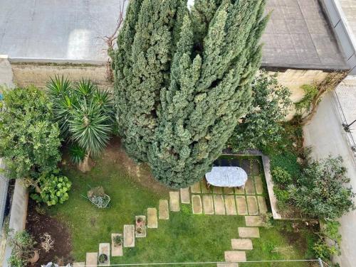Lux Domus photo 36