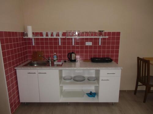 a small kitchen with a sink and red tile at Penzion Sarton in Lukov