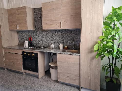 Η κουζίνα ή μικρή κουζίνα στο Partial Nile View 2 Bedroom Appartment in Zamalek Cairo Newly Renovated