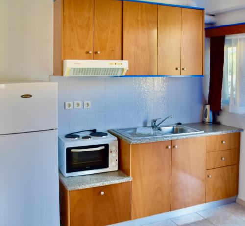 una cucina con lavandino e forno a microonde di Nitsa's Apartments a Megálon Choríon