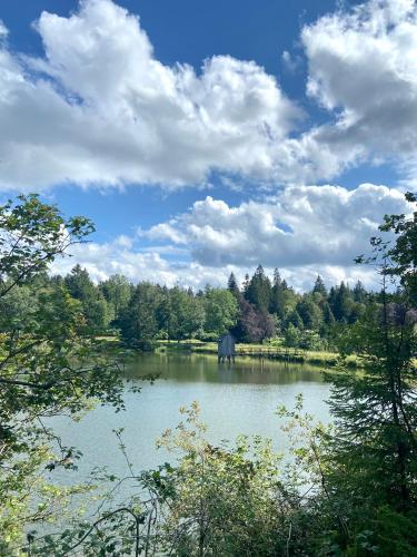an elephant standing in the middle of a lake at Harzpur Lodge - Pure Entspannung in purer Natur in Hahnenklee-Bockswiese