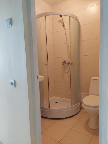 a bathroom with a shower and a toilet at VšĮ Veiklus Rietavas apgyvendinimas in Rietavas