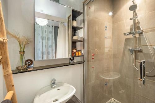 ein Bad mit einem Waschbecken und einer Dusche mit einem Spiegel in der Unterkunft L'élégant-Parking privé-10min strasbourg-NBSimmo in Bischheim