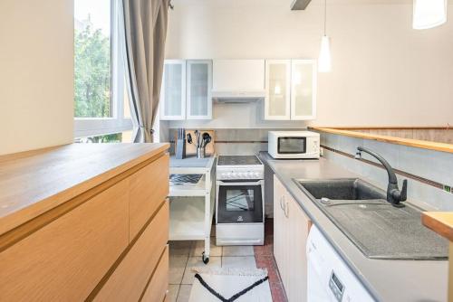 une cuisine avec un évier et une cuisinière four supérieur dans l'établissement L'élégant-Parking privé-10min strasbourg-NBSimmo, à Bischheim