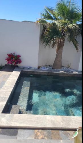 a swimming pool with a palm tree next to a building at LaVillaEden13 in Gignac-la-Nerthe