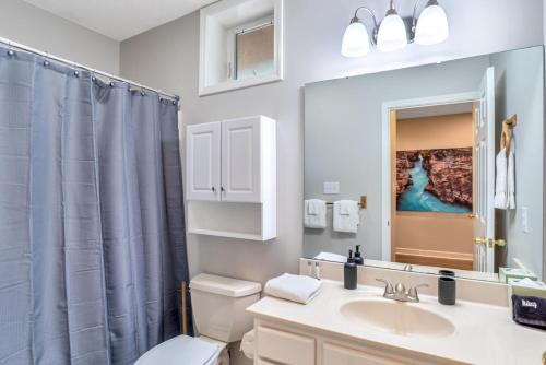 a bathroom with a sink and a toilet and a mirror at South Asheville Townhome 16 B in Arden