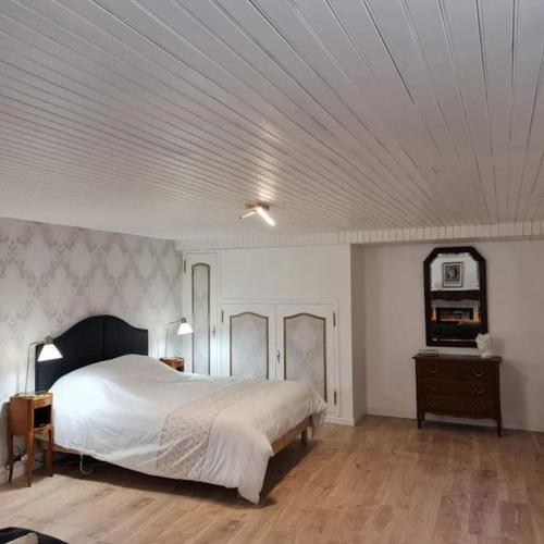 1 dormitorio con 1 cama grande y techo en Le « Saint-Just », en Rodez