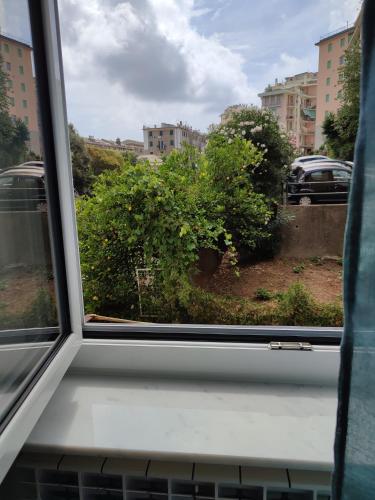 a window with a view of a bush at La Casa di Linda in Genova