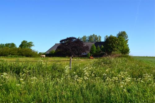 Peisaj natural din apropierea acestui apartament