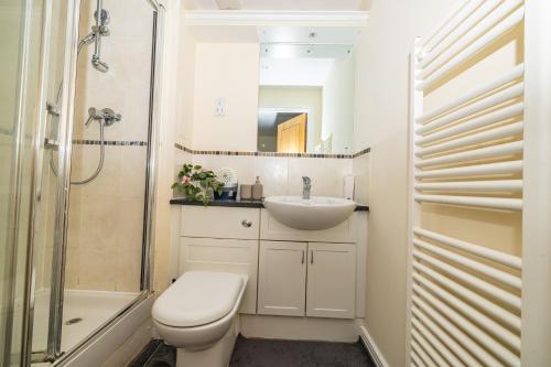 een badkamer met een toilet, een wastafel en een douche bij Two bed Apartment near Canary Wharf in Londen