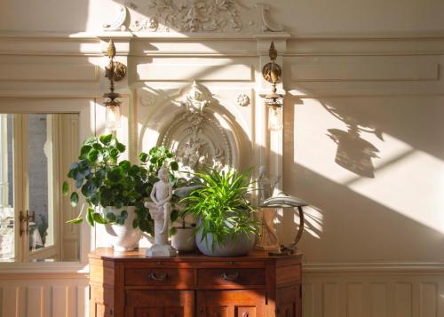 a table with plants on top of it with a mirror at Huis Dujardin Bed&Breakfast in Antwerp