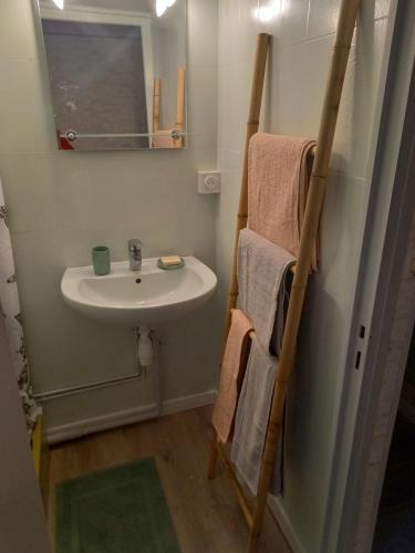 uma casa de banho com um lavatório e um toalheiro. em La Croix de la Roche em Trémuson