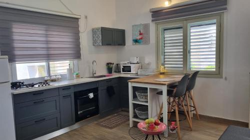 a kitchen with blue cabinets and a small table with chairs at Stylish Quiet and Central in Rechovot