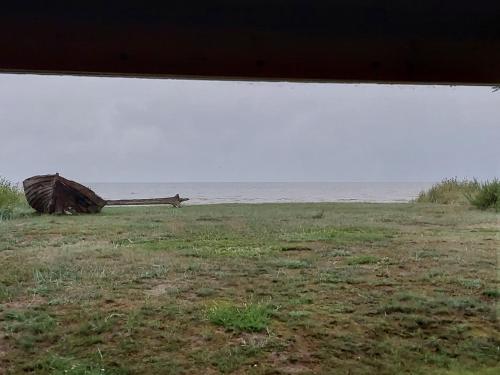 une bûche assise dans un champ à côté de l'océan dans l'établissement Treimani Meremaja, à Treimani