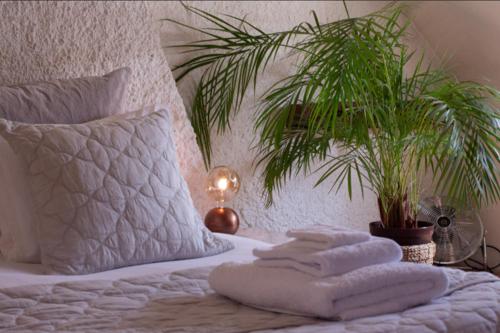 a bedroom with a bed with towels and a plant at Maison Marcks Champagne in Ay