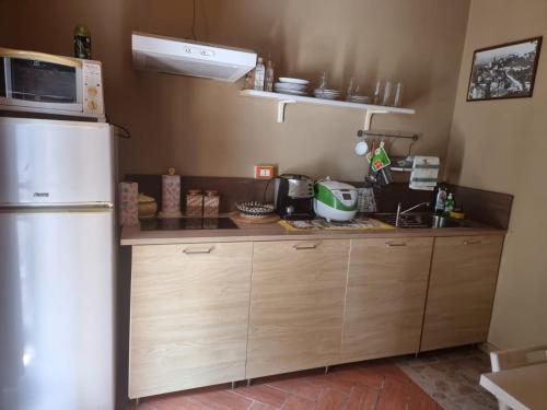 a kitchen with a refrigerator and a microwave at SPELTAUR B&B in Spoltore