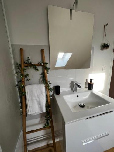 a bathroom with a sink and a mirror at Belle maison familiale proche du lac in Bourges