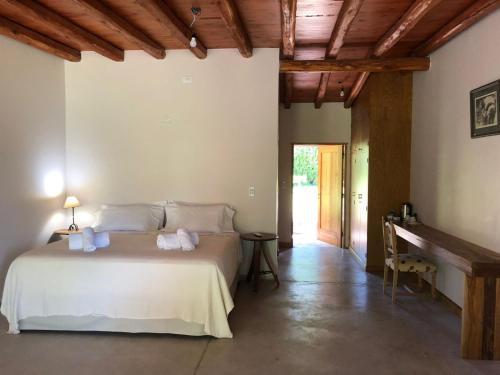 圖努揚的住宿－Finca del Rio - Casa de campo，一间卧室,卧室内配有一张大床