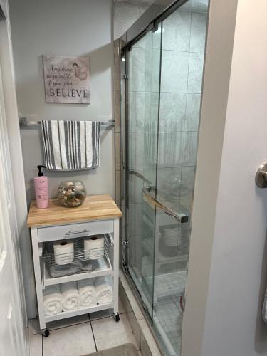 uma casa de banho com um chuveiro e uma cabina de duche em vidro. em Luxurious and modern one bedroom basement suite. em Brampton