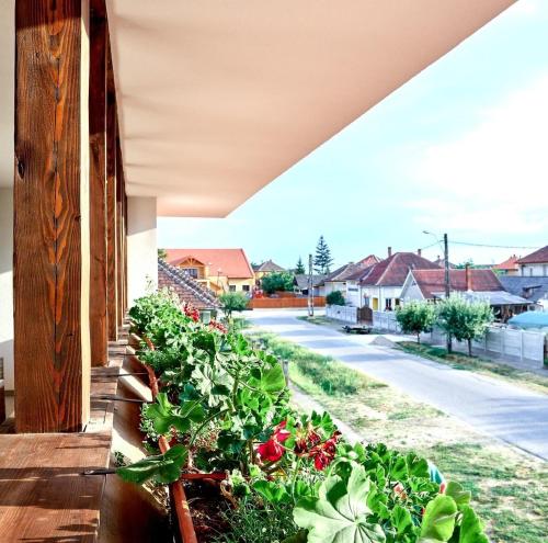 una fila de plantas en un balcón con una calle en Márti en Odoreu