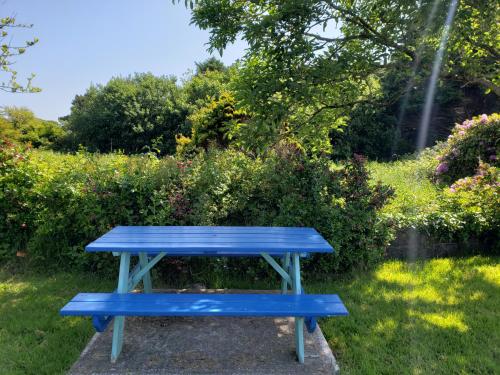 a blue picnic table in a garden at Louisburgh Cottages in Louisburgh