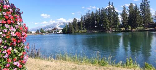 a view of a lake with mountains in the background at Bellevue Crans-Montana in Crans-Montana
